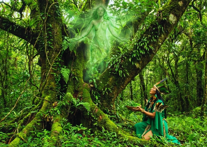 Jurema Sagrada: A Deusa, a Árvore e a Cabocla