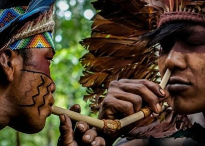 Como usar rapé para limpeza energética e conexão espiritual